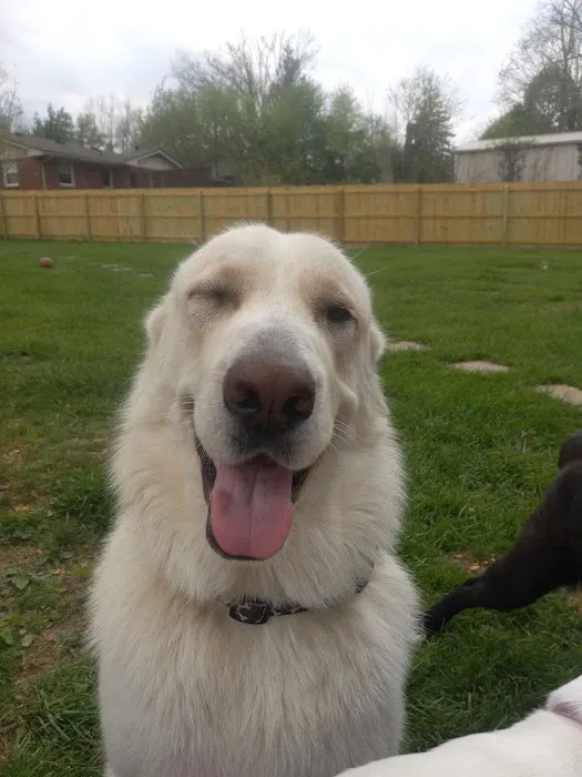 Oldham County Veterinary Services, LLC Picture 6