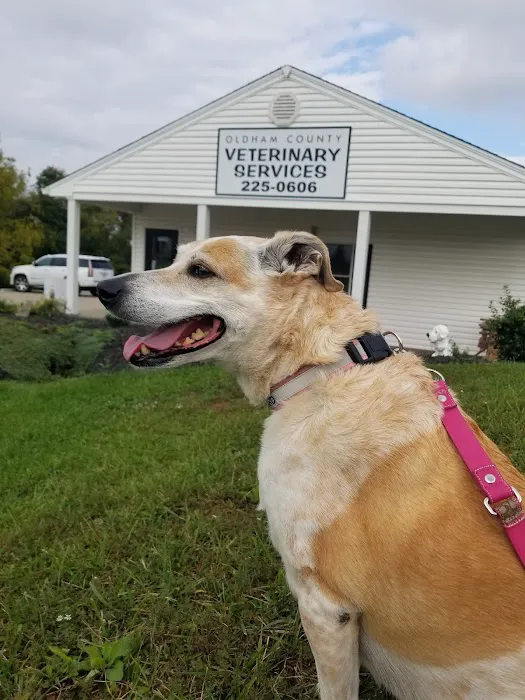 Oldham County Veterinary Services, LLC Picture 2