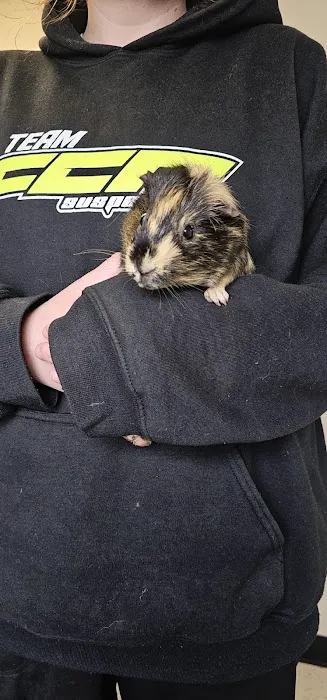 Bluegrass Animal Care Center Picture 2