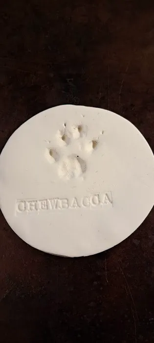 Bluegrass Animal Care Center Picture 6
