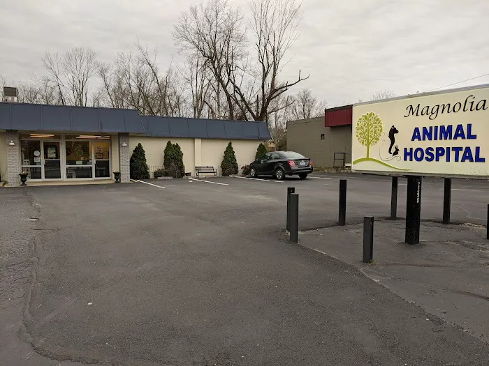 Magnolia Animal Clinic Picture 9
