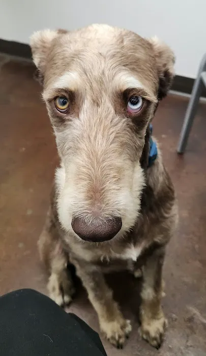 Magnolia Animal Clinic Picture 10