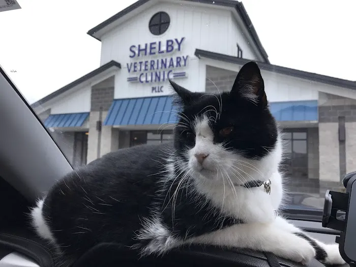 Shelby Veterinary Clinic PLLC Picture 4