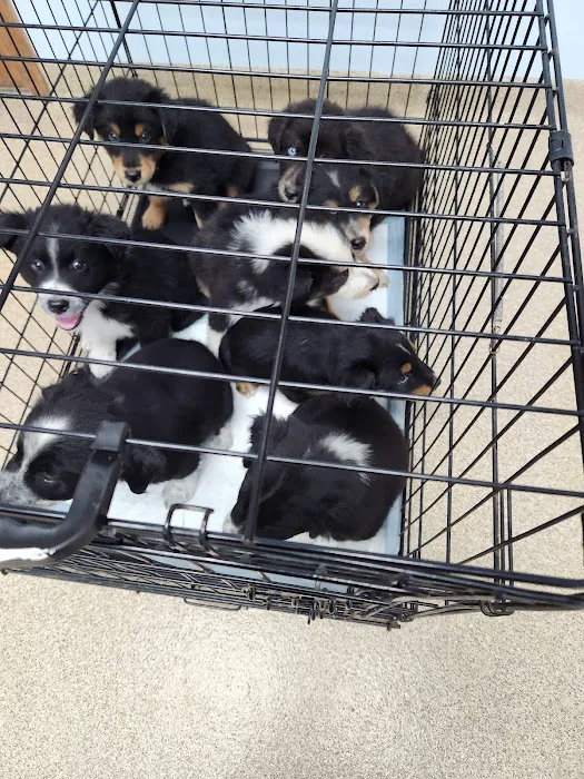 Kendallville Animal Clinic Picture 2