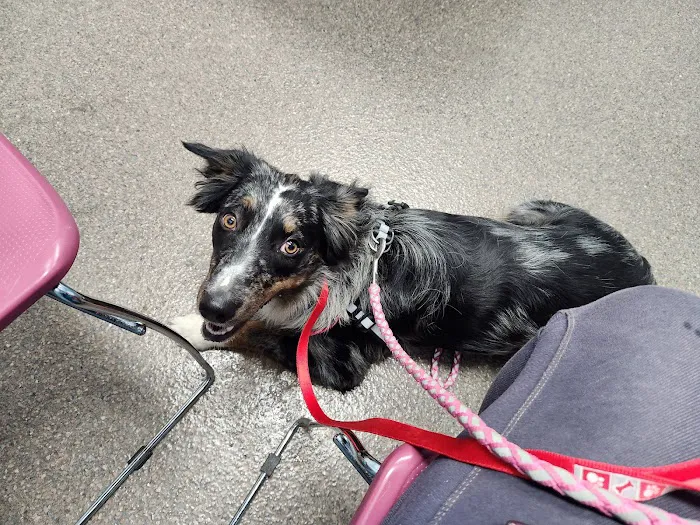 Kendallville Animal Clinic Picture 10