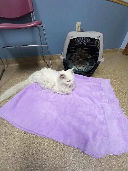 Kendallville Animal Clinic Picture 5