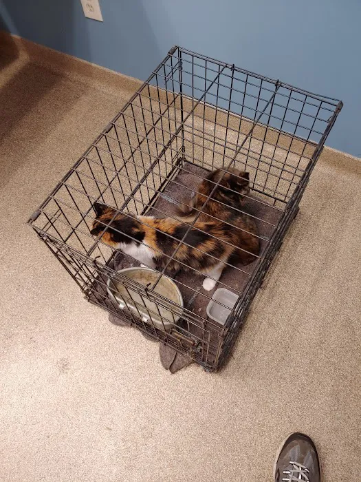 Kendallville Animal Clinic Picture 3