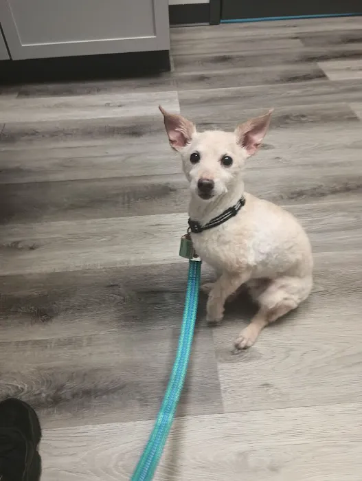 Southwest Veterinary Urgent Care Picture 2