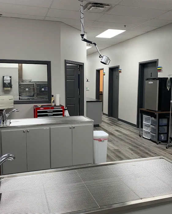 Southwest Veterinary Urgent Care Picture 8