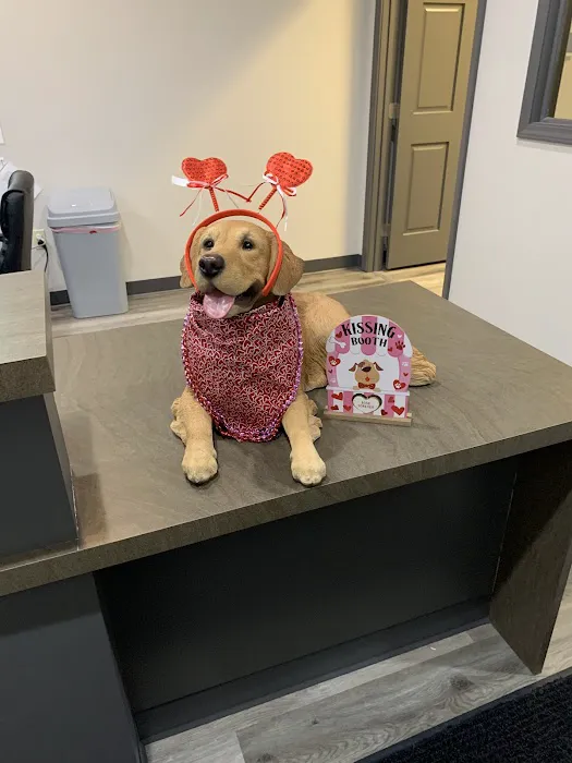 Southwest Veterinary Urgent Care Picture 3