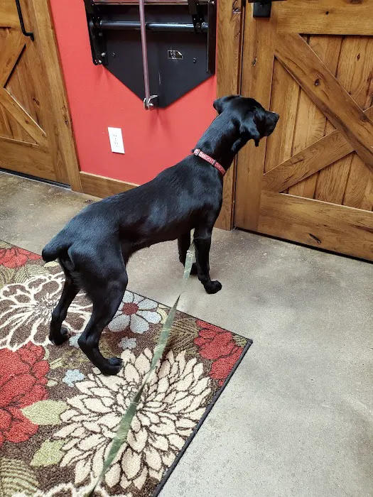 Bronson Veterinary Services Picture 6