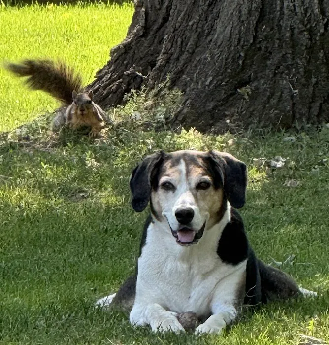 Bronson Veterinary Services Picture 1