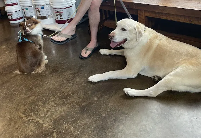 Bronson Veterinary Services Picture 5