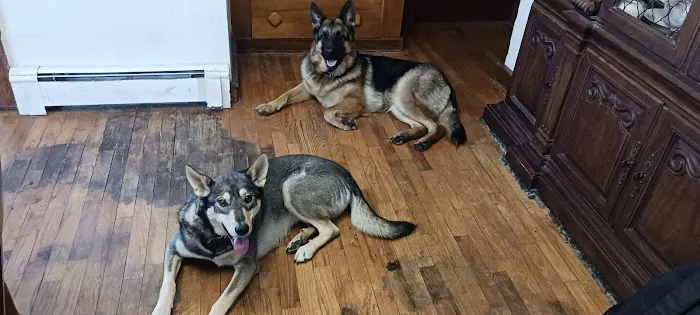 Bronson Veterinary Services Picture 9