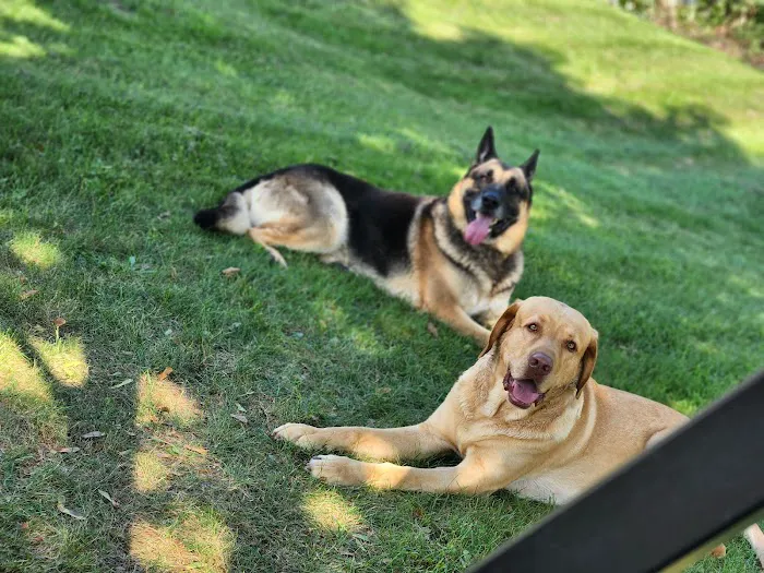 Bronson Veterinary Services Picture 10