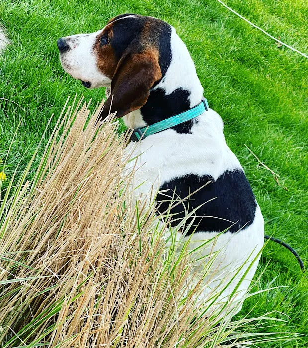 Bronson Veterinary Services Picture 8