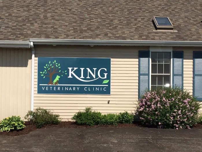 King Veterinary Clinic Picture 7
