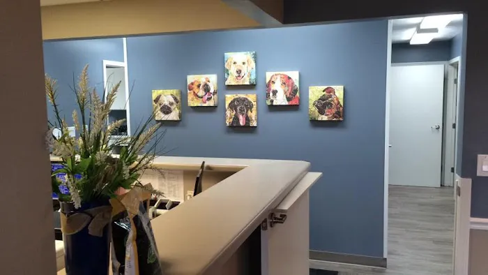 King Veterinary Clinic Picture 1