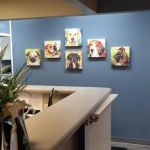 King Veterinary Clinic