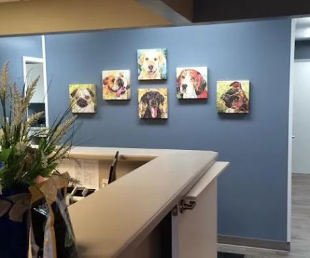 King Veterinary Clinic