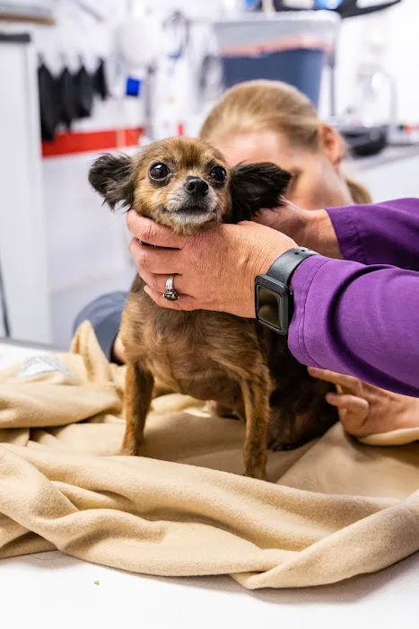 Columbia Animal Clinic Picture 1
