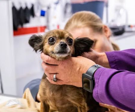 Columbia Animal Clinic