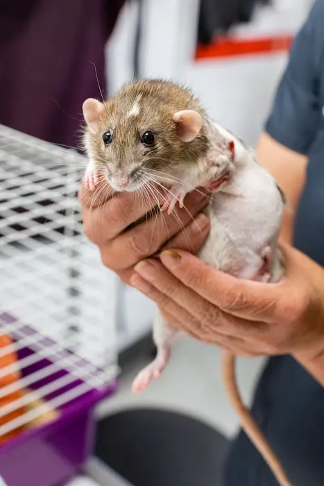 Columbia Animal Clinic Picture 8