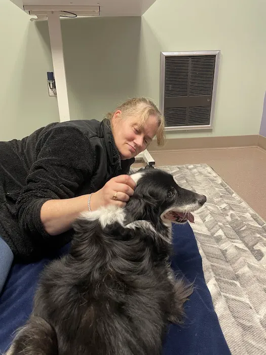 Brooklyn Road Veterinary Clinic Picture 4