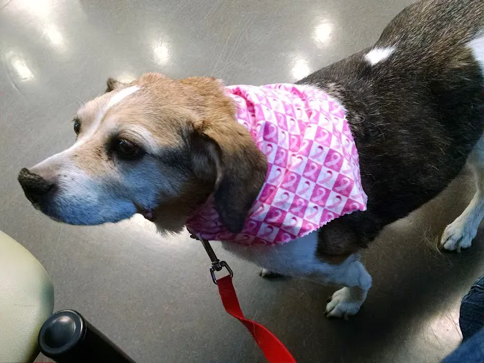 Brooklyn Road Veterinary Clinic Picture 8