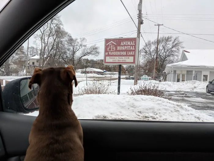 Animal Hospital of Vandercook Lake Picture 6