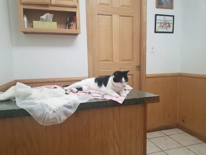 Animal Hospital of Vandercook Lake Picture 8