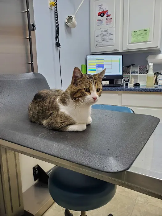 Tecumseh Veterinary Hospital Picture 9
