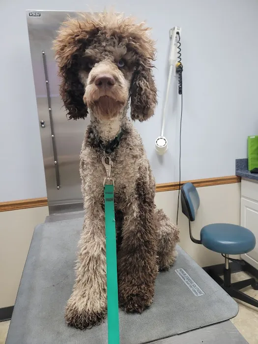 Tecumseh Veterinary Hospital Picture 4