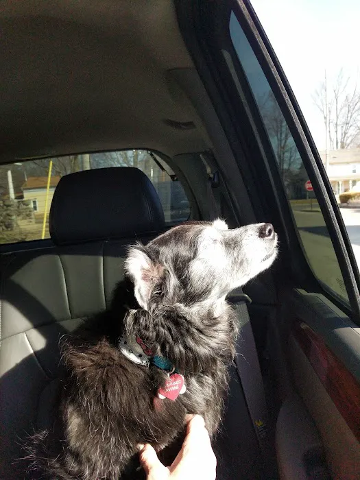 Companion Animal Clinic Picture 9