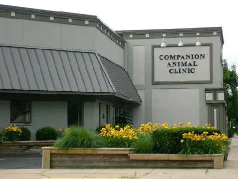 Companion Animal Clinic Picture 8