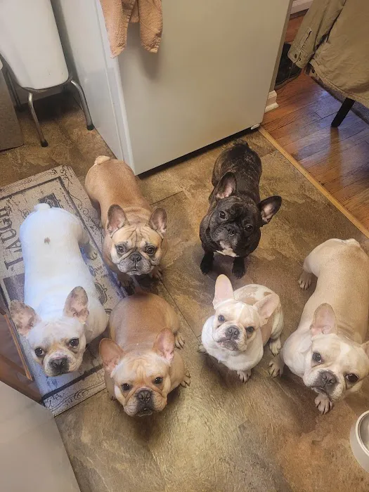 Heritage Animal Hospital Picture 2