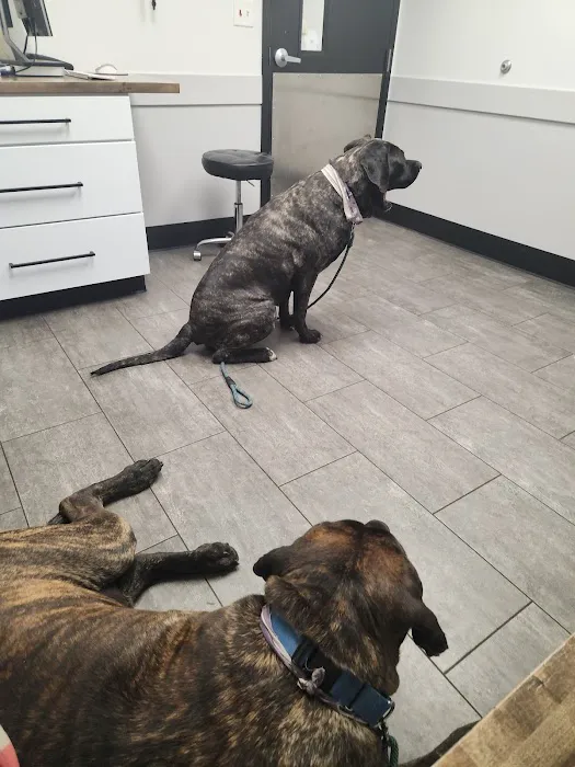 Heritage Animal Hospital Picture 3