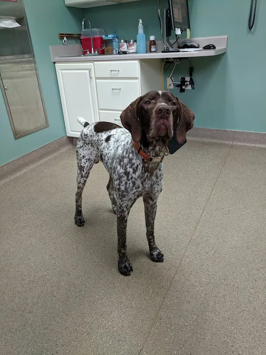 Heritage Animal Hospital Picture 4