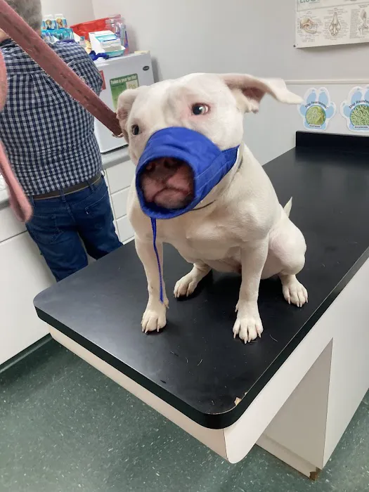 Litchfield Veterinary Clinic Picture 1