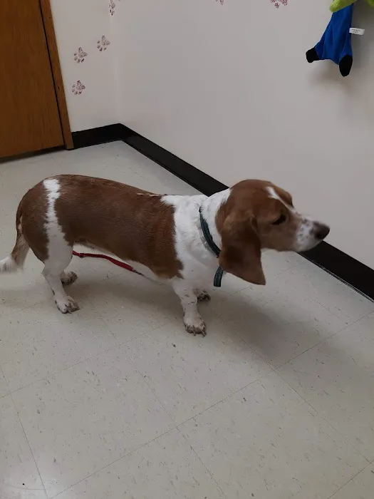 Tekonsha Animal Hospital Picture 3