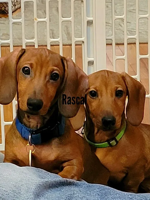 Tekonsha Animal Hospital Picture 5