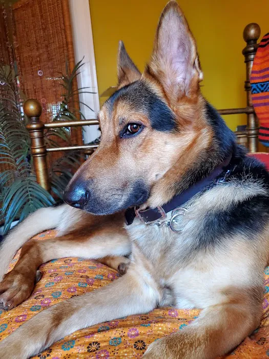 Gaide Veterinary Hospital: Gaudem Dale K DVM Picture 2