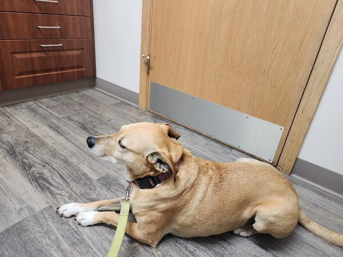 Five Points Animal Hospital Picture 6
