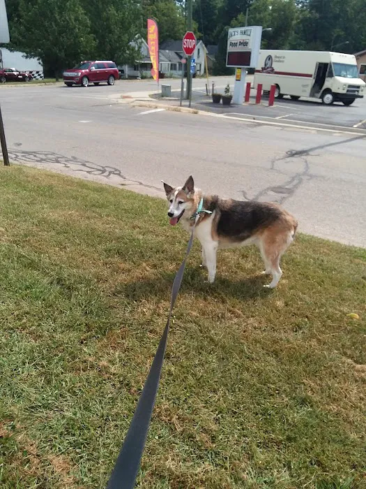Lane Veterinary Services LLC Picture 8