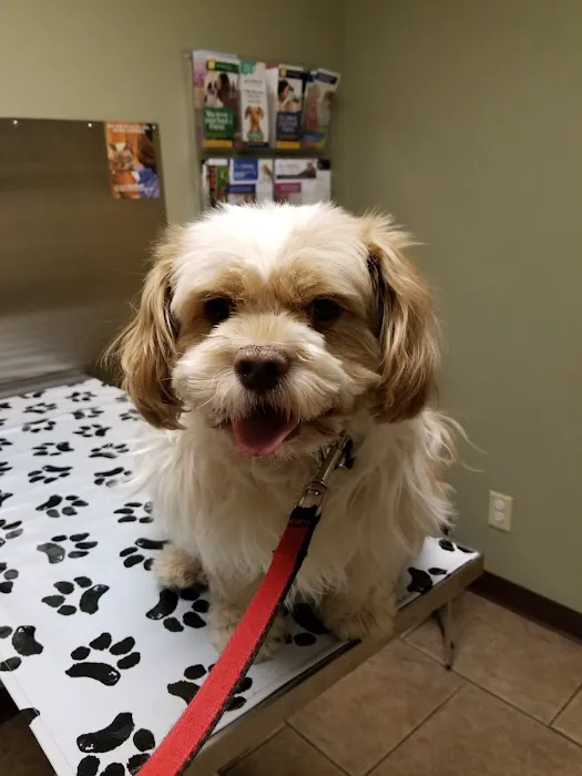 Huntington Veterinary Hospital Picture 5