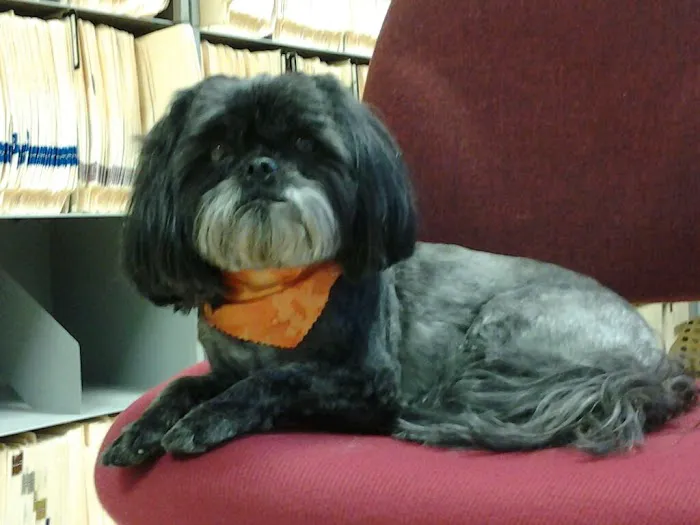 Huntington Veterinary Hospital Picture 2