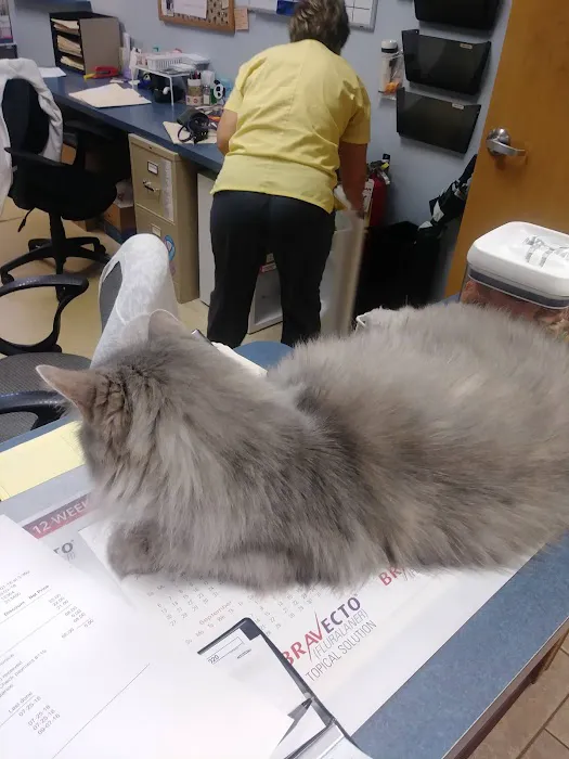 Huntington Veterinary Hospital Picture 9