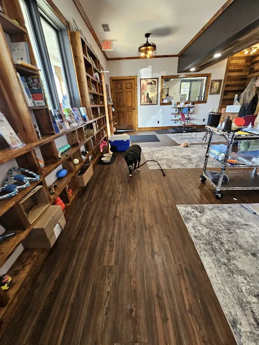 Quinn Veterinary Clinic and Behavior Center Picture 1