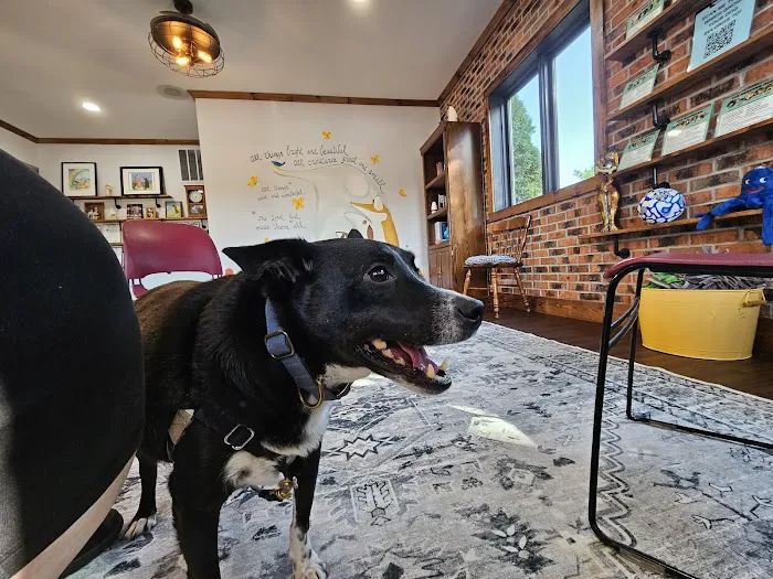 Quinn Veterinary Clinic and Behavior Center Picture 7