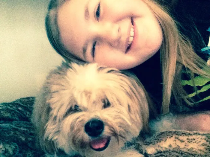 Comfort Veterinary Hospital Picture 10